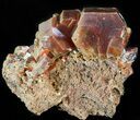 Large Vanadinite Crystals - Morocco #42172-1